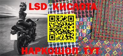 крисы Малгобек