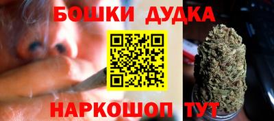 крисы Малгобек