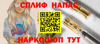 крисы Малгобек