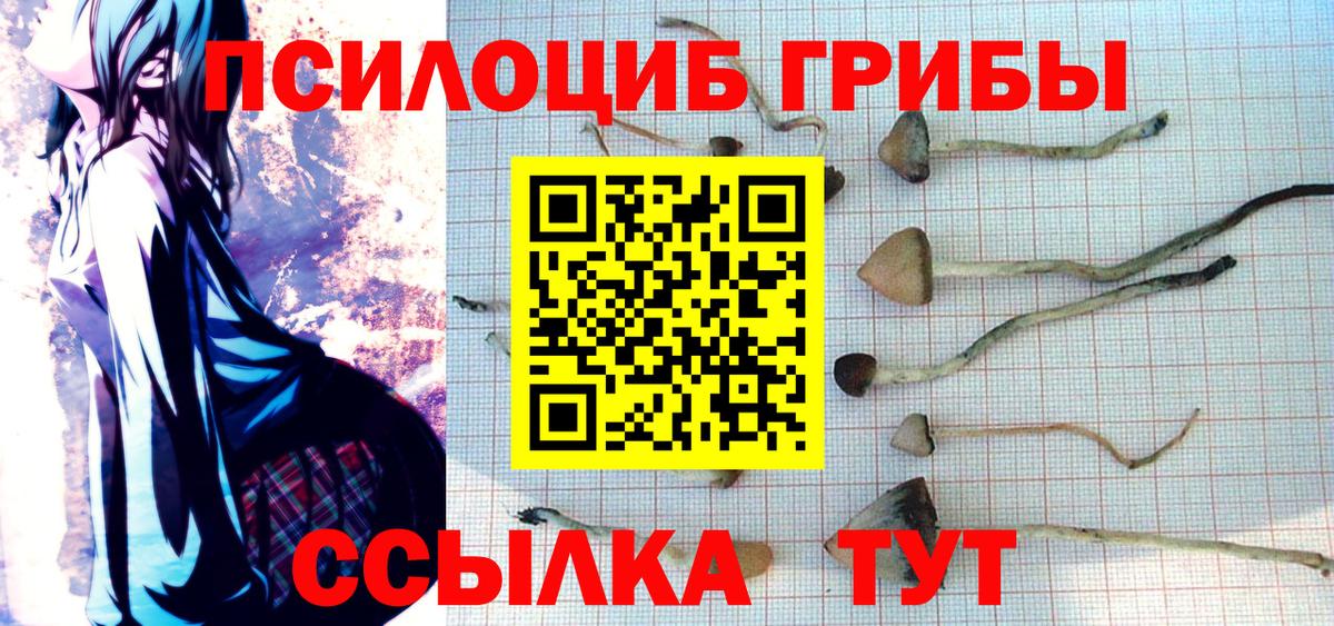 Галлюциногенные грибы Cubensis Старая Купавна
